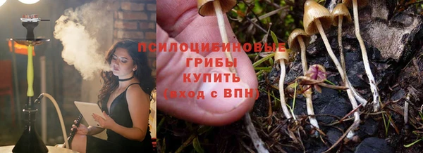 кокс Арсеньев