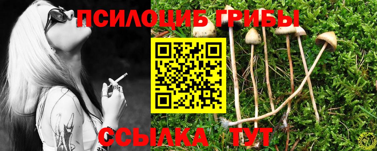 Галлюциногенные грибы прущие грибы  Вход с VPN  Ипатово  Галлюциногенные грибы мицелий 