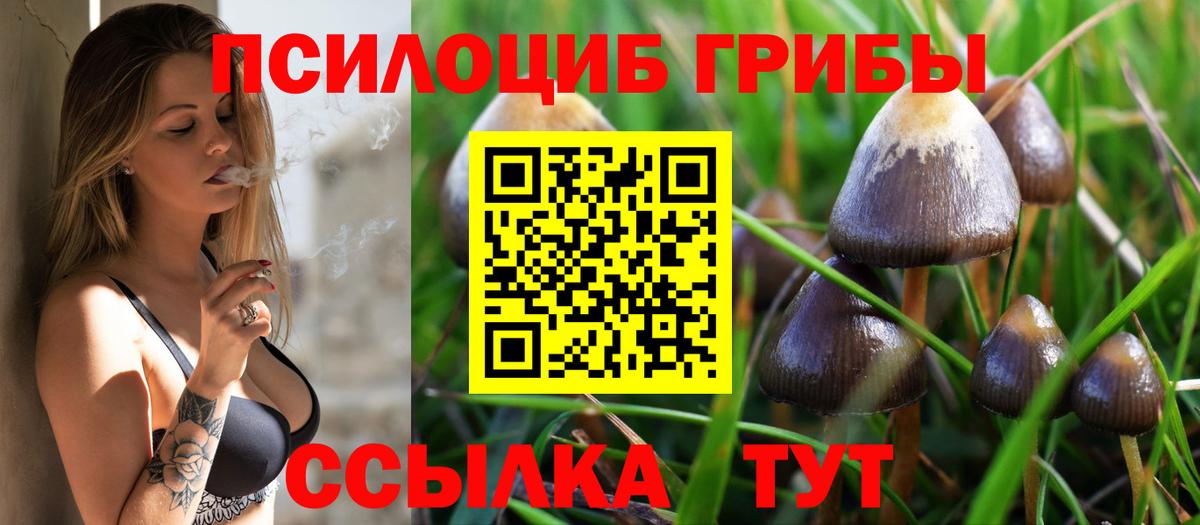 Галлюциногенные грибы ЛСД Ипатово